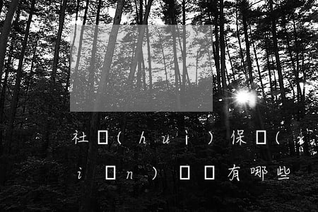 社會(huì)保險(xiǎn)保險(xiǎn)糾紛有哪些