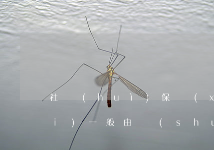 社會(huì)保險(xiǎn)費(fèi)一般由誰(shuí)承擔(dān)(社會(huì)保險(xiǎn)費(fèi)一般由誰(shuí)承擔(dān)納入國(guó)家社會(huì)保險(xiǎn)體系)