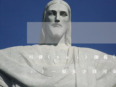 社會(huì)撫養(yǎng)費(fèi)一般多少錢(河南社會(huì)撫養(yǎng)費(fèi)一般多少錢)