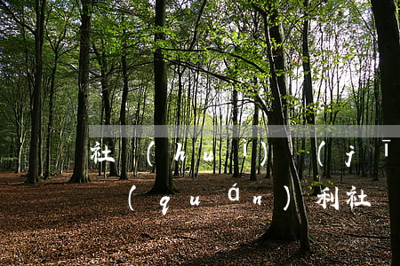社會(huì)經(jīng)濟(jì)權(quán)利(社會(huì)經(jīng)濟(jì)權(quán)利內(nèi)容)