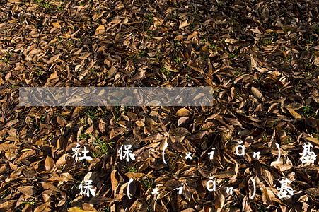 社會保險(xiǎn)基數(shù)(社會保險(xiǎn)基數(shù)3368,退休工資多少)