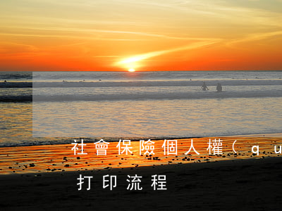 社會保險個人權(quán)益記錄定制及打印流程