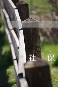 社會保險協(xié)議書