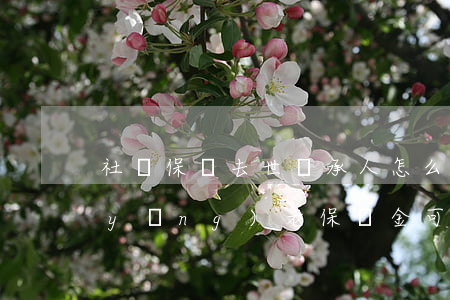 社會保險去世繼承人怎么繼承(人去世了養(yǎng)老保險金可以繼承嗎)