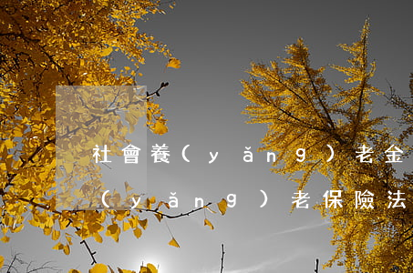 社會養(yǎng)老金法院可以扣劃嗎(養(yǎng)老保險法院可以扣劃么)