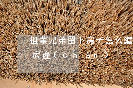 祖輩兄弟留下房子怎么繼承(兄弟倆如何繼承房產(chǎn))