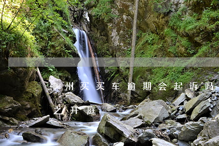 神州买买车逾期会起诉吗(神州买买车被收车之开庭)