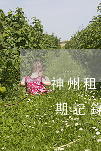 神州租車信用卡有逾期(神州租車信用卡有逾期記錄)