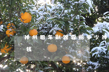 神州租车剐蹭要赔多少(神州租车蹭掉漆多少钱)