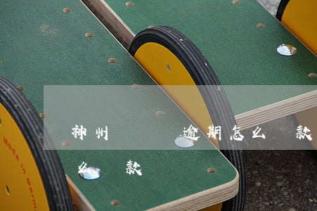 神州買買車逾期怎么還款(神州買買車逾期怎么還款)