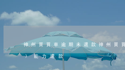 神州買買車逾期未還款(神州買買車無(wú)能力還款)