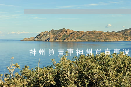 神州買賣車(神州買賣車過戶流程)