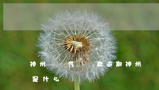 神州閃貸汽車貸款逾期(神州車閃貸總部電話是什么)