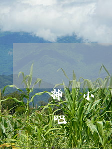 神燈小貸逾期上負(fù)面嗎(神燈小貸貼吧)