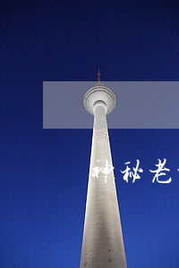 神秘老公不離婚免費(fèi)