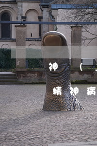 神經(jīng)病人欠網(wǎng)貸(精神病患者借了網(wǎng)貸)