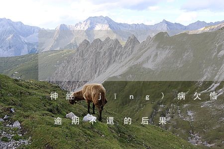 神經(jīng)病欠信用卡(精神病信用卡逾期不還的后果)