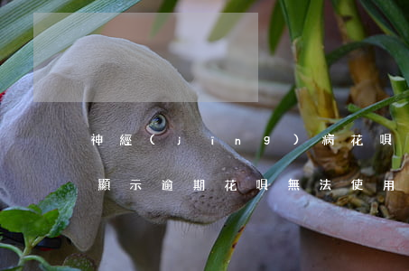 神經(jīng)病花唄逾期了怎么辦(花唄顯示逾期,花唄無法使用了,怎么還款)