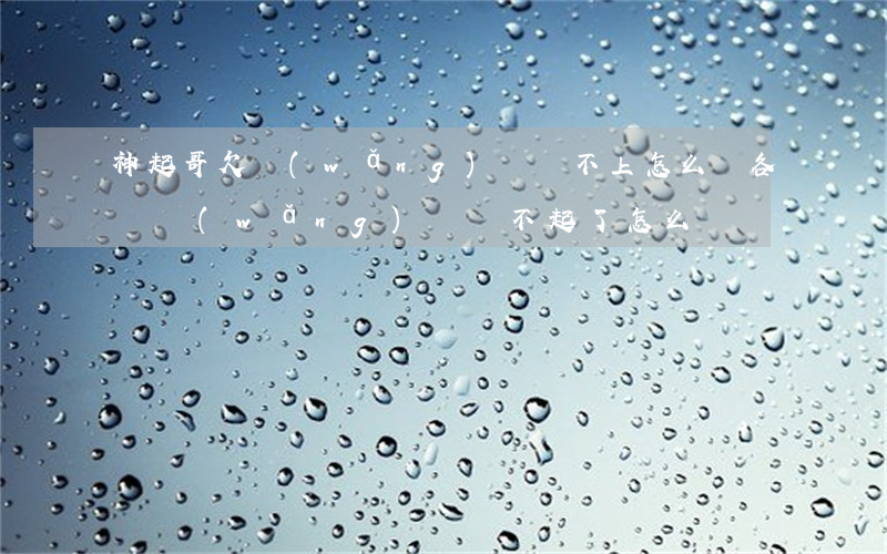 神起哥欠網(wǎng)貸還不上怎么辦(各種網(wǎng)貸還不起了怎么辦)
