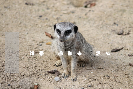 祥泰碼逾期未檢怎么辦