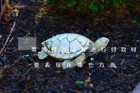 票据付款人在进行付款时无实质审查义务主要表现在哪些方面