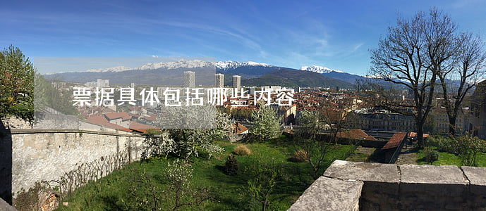 票据具体包括哪些内容