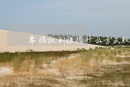 票据权利根据什么方式取得