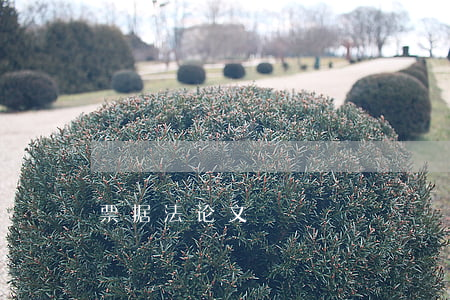 票据法论文 票据法论文