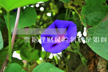 票据理财风险到底是如何的