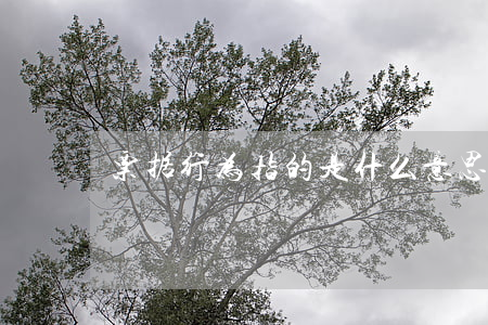 票据行为指的是什么意思