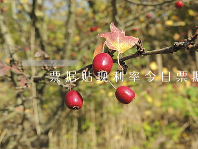 票据贴现利率(今日票据贴现利率)