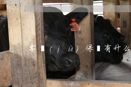 票據(jù)保證有什么方式