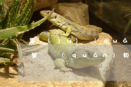票據(jù)權(quán)利糾紛訴訟的管轄權(quán)如何確定