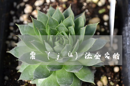 票據(jù)法全文的內(nèi)容