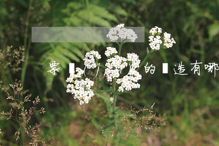 票據(jù)的偽造有哪些