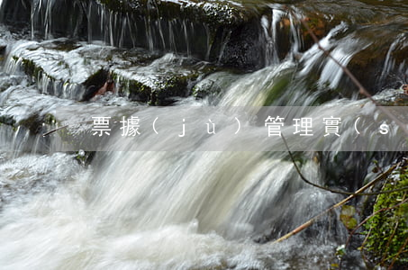 票據(jù)管理實(shí)施辦法