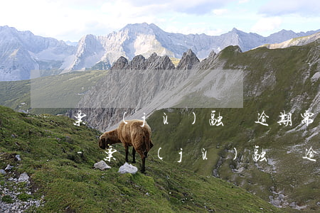 票據(jù)融資逾期需要記入不良貸款嗎-票據(jù)融資逾期需要記入不良貸款嗎為什么