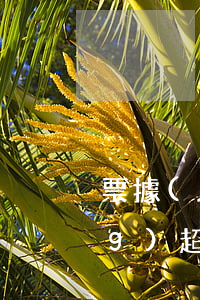 票據(jù)補(bǔ)充事項(xiàng)超出授權(quán)范圍的是誰(shuí)承擔(dān)責(zé)任
