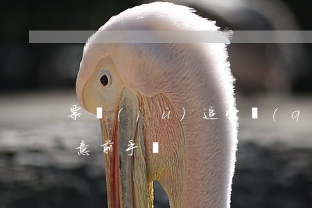 票據(jù)追索權(quán)可以向任意前手嗎