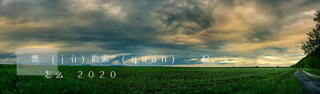 票據(jù)追索權(quán)糾紛起訴狀怎么寫2020