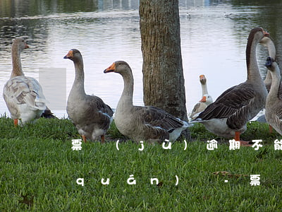 票據(jù)逾期不能向前手行使追索權(quán)嗎-票據(jù)逾期不能向前手行使追索權(quán)嗎為什么