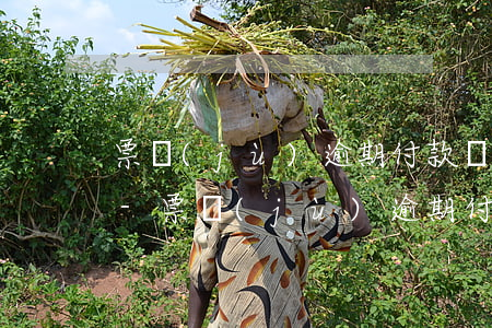 票據(jù)逾期付款請求有什么法律后果-票據(jù)逾期付款請求有什么法律后果嗎