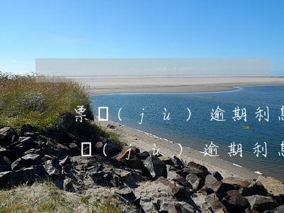 票據(jù)逾期利息怎么計(jì)算 票據(jù)逾期利息怎么計(jì)算的