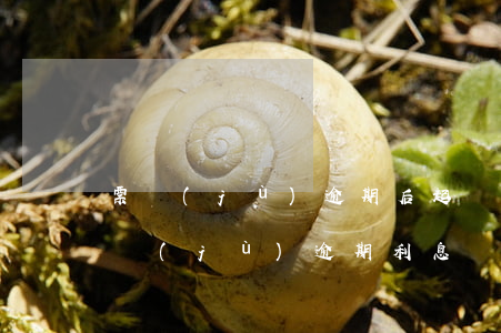 票據(jù)逾期后起訴誰(shuí)(票據(jù)逾期利息)