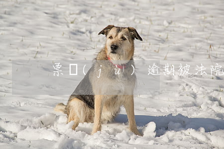 票據(jù)逾期被法院執(zhí)行