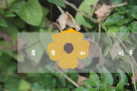 票據背書時必須記載的事項有哪些？