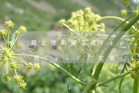 禁止使用童工規(guī)定(禁止使用童工規(guī)定實(shí)施細(xì)則)