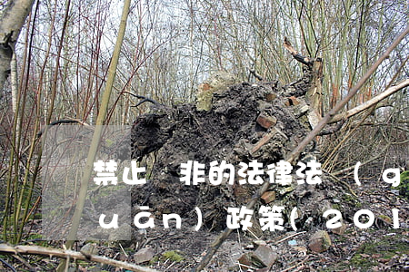 禁止兩非的法律法規(guī)和相關(guān)政策(2018年上半年鎮(zhèn)級打擊兩非專項行動工作匯報)