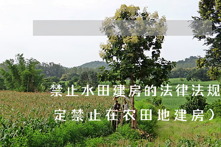 禁止水田建房的法律法规(中国那条法律规定禁止在农田地建房)