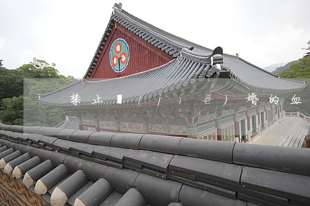 禁止結(jié)婚的血親（親屬）包括哪些